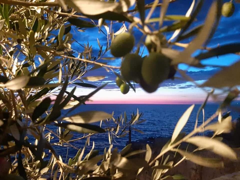 Apartments Marina Utjeha Εξωτερικό φωτογραφία