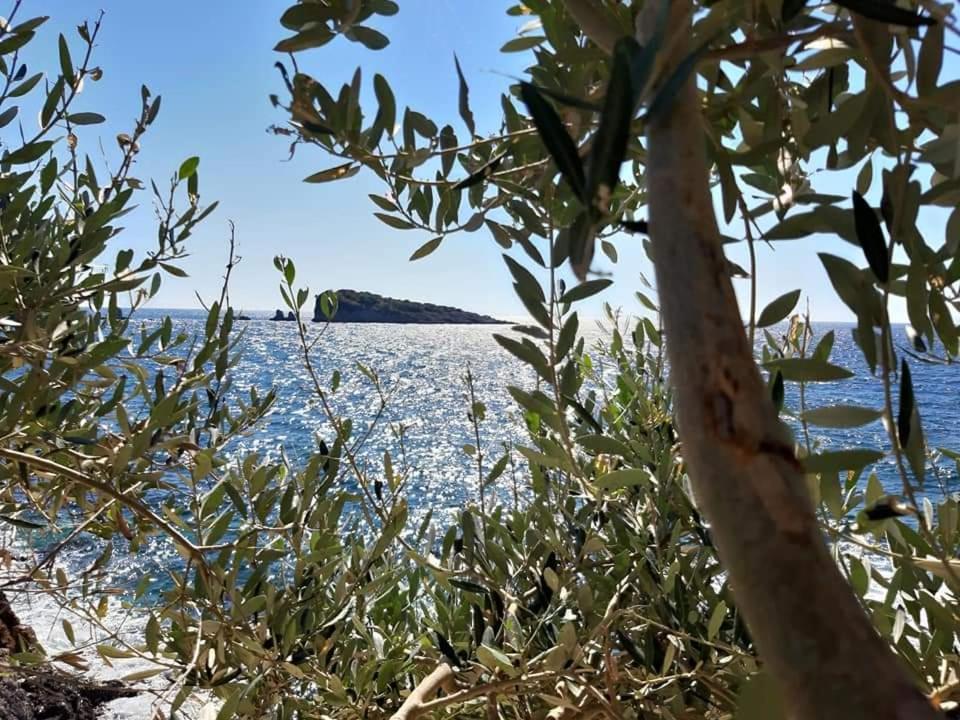 Apartments Marina Utjeha Εξωτερικό φωτογραφία